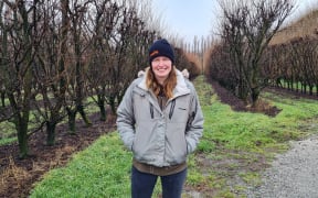 Kurow Orchard