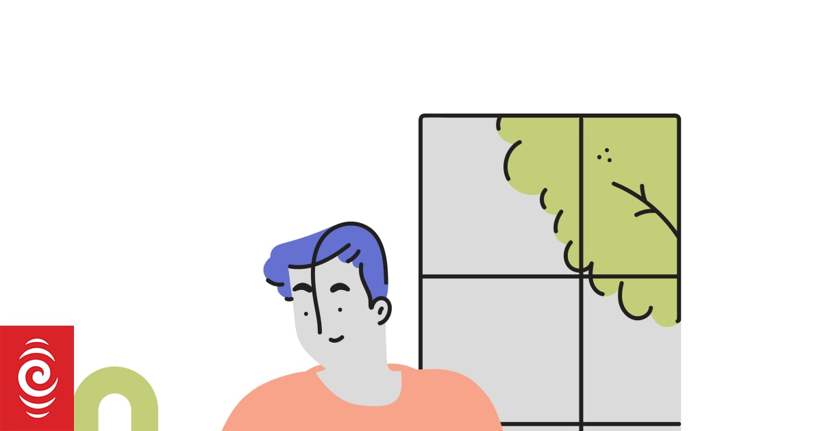 How often should you change kitchen sponges, cloths and brushes? RNZ News