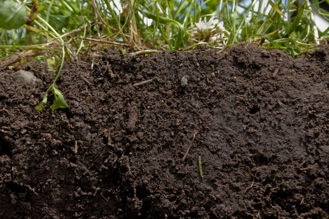 Celebrating Soils, discovering soils and landscapes
