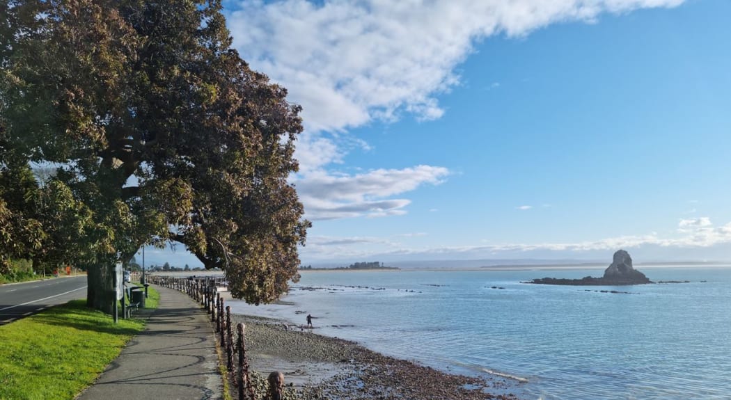 A family enjoying the low tide on Rocks Road in Nelson near Fifeshire Rock.