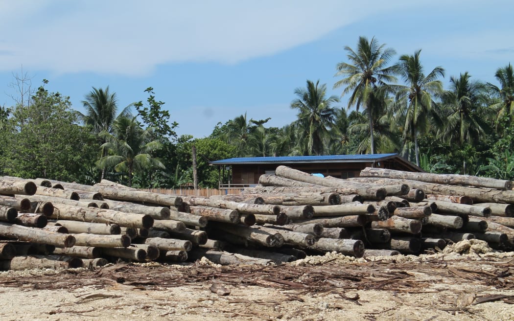 Deforestation is rife across New Guinea.