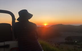 Jess Charlton, Cinematographer