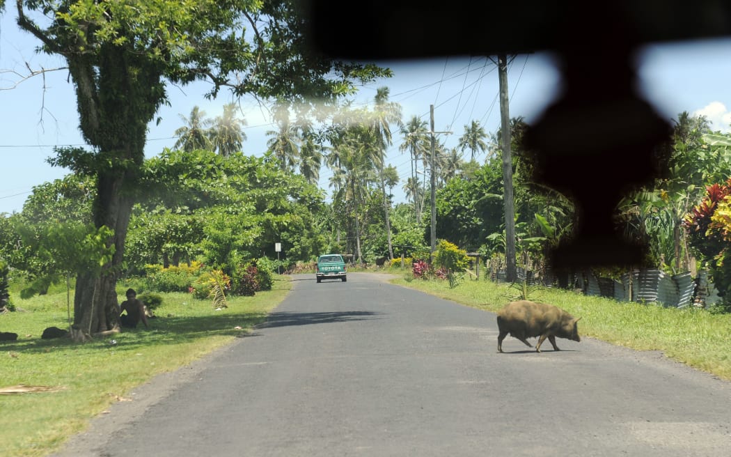 A road in Samoa