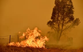 Bushfires burn near the town of Bumbalong south of Canberra on February 1, 2020.