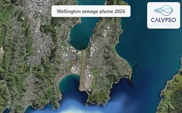 Moa Point: Wellington mayor makes first move towards inquiry | RNZ