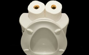 An image of two toilet tissue rolls sitting on top of an open toilet seat.