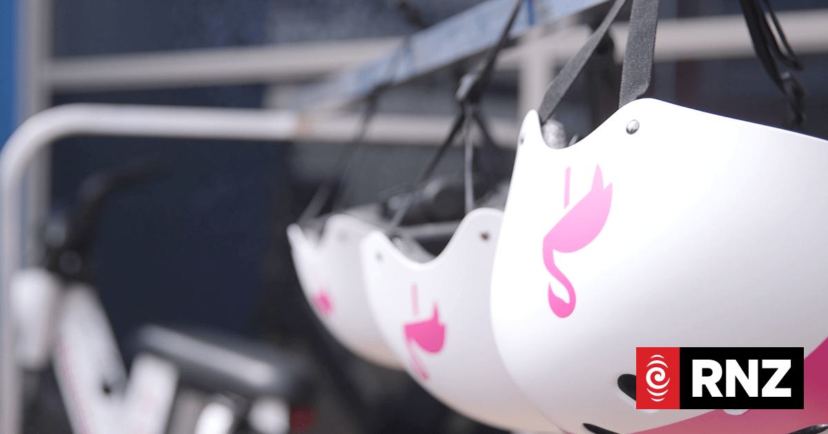 Road rules shakeup on the table - here's what you need to know