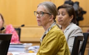 Green MP Celia Wade-Brown in select committee.