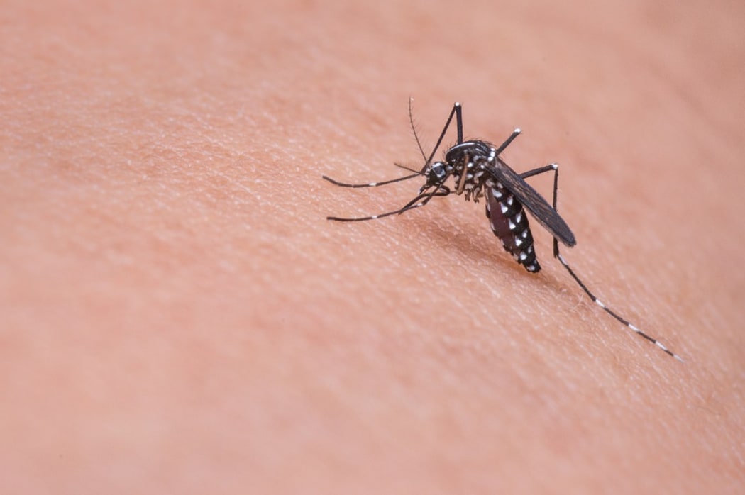Deter mosquitos deals