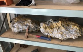 Australian miners have found 95kg specimen stone (containing an estimated 2440 ounces) and a 63kg specimen stone (containing estimated 1620 ounces) from the Beta Hunt mine.