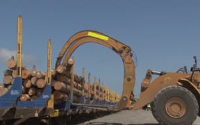 Loading railway line with logs.
