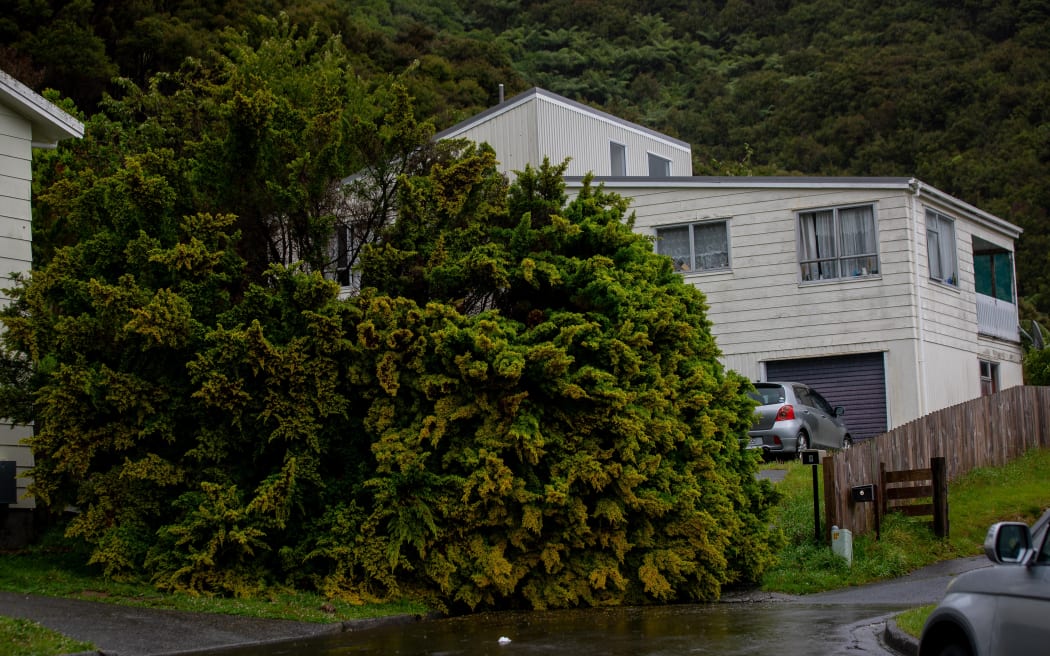 Storm damage in Wainuiomata.