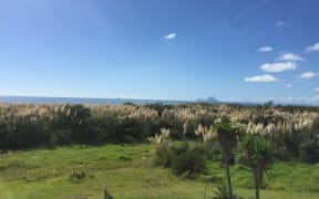 The view from the Whalley's deck