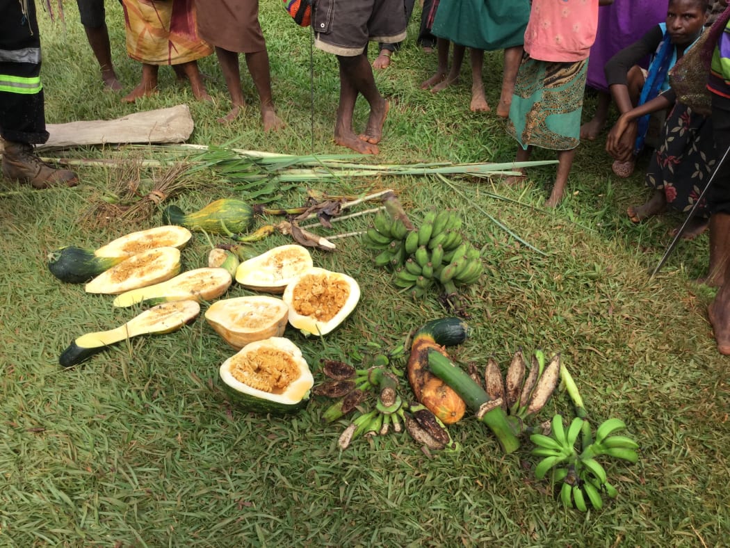 Villagers display their failed crops in the drought affected Mougulu area of PNG's Western Province.