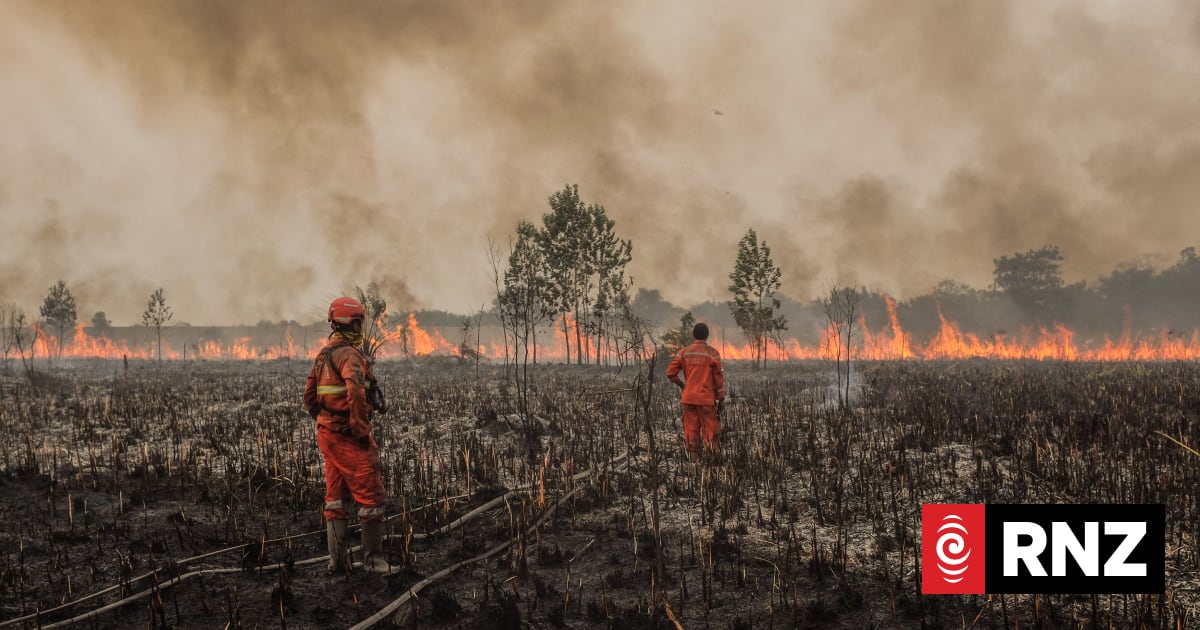 Climate: Report predicts El Niño death toll of almost half a million