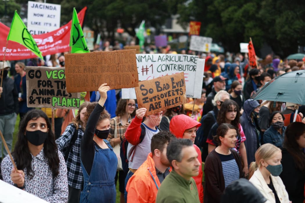 Climate marchers at Parliament in Wellington.