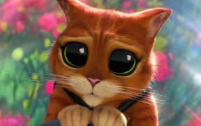 A frame from the film Puss in Boots: The Last Wish featuring Puss attempting to look cute, holding his hat with enormous, pleading, anime eyes.