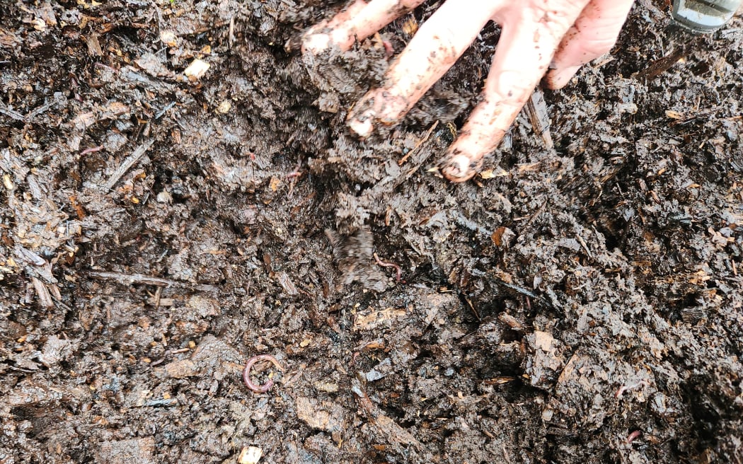 Stephen experiments with several ways of composting, "an inexpensive, brilliant way to get organic matter fertility back onto the soil".