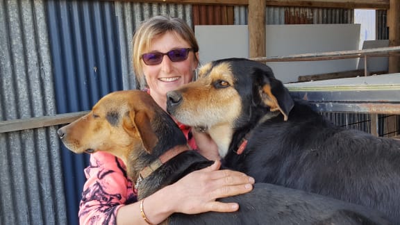 Old dogs new homes RNZ