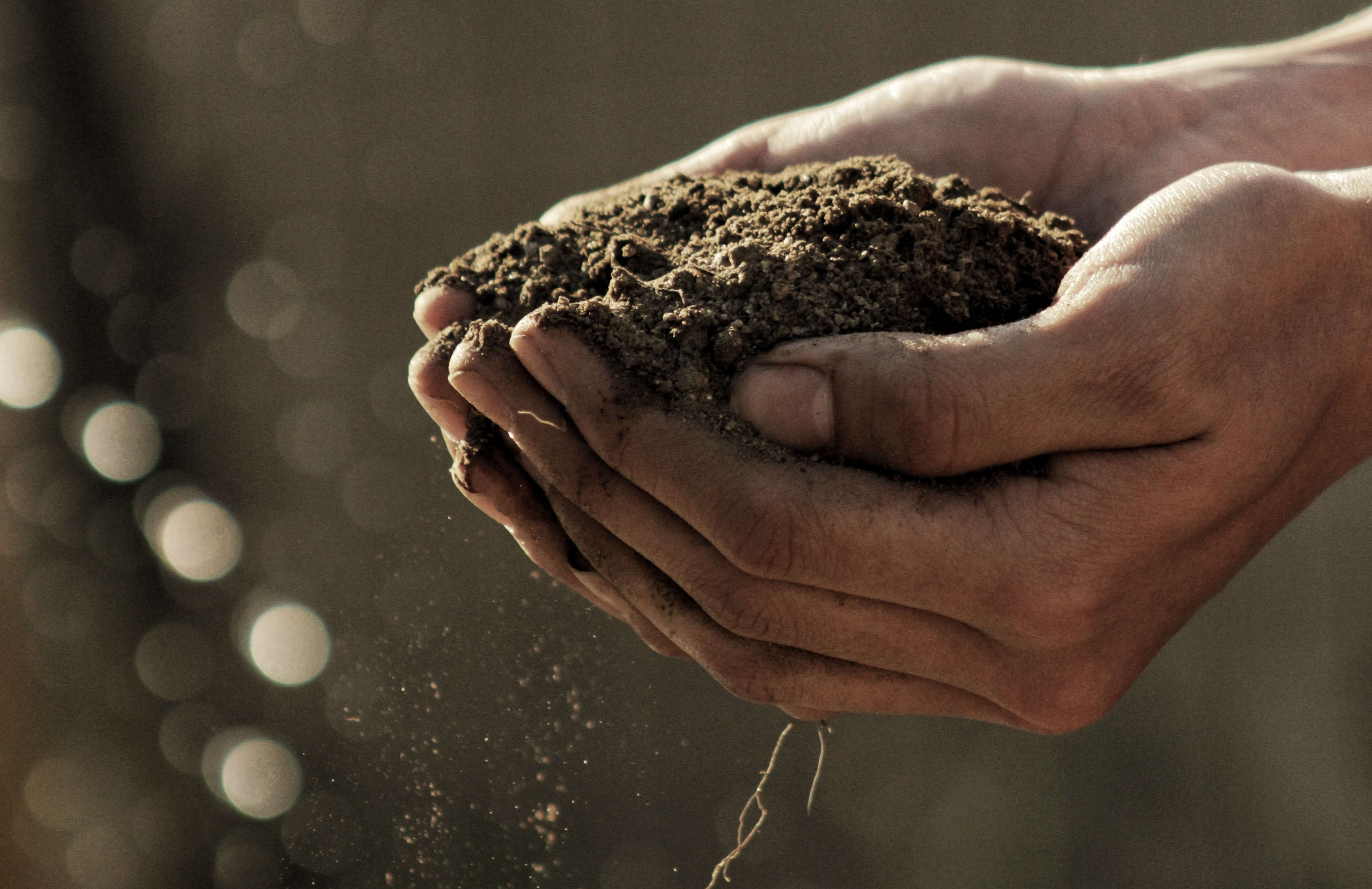 hands holding soil