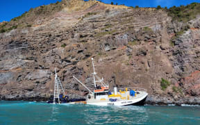 The Austro Carina vessel wreckage at Shell Bay, Banks Peninsula. CREDIT: Supplied / Department of Conservation