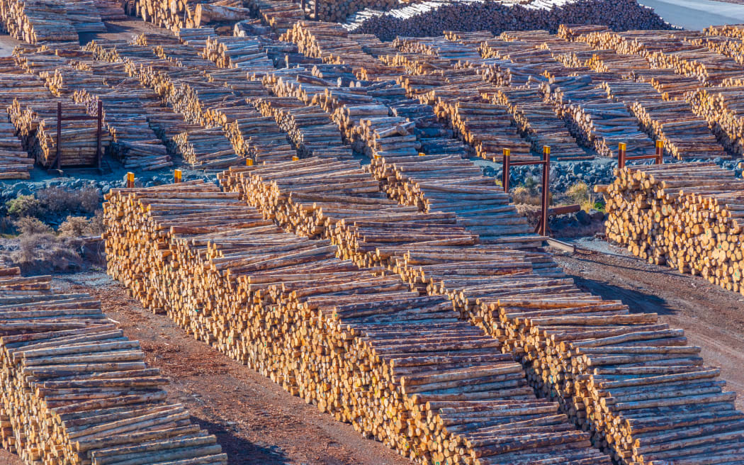 Wooden logs stored at port of Picton, New Zealand.