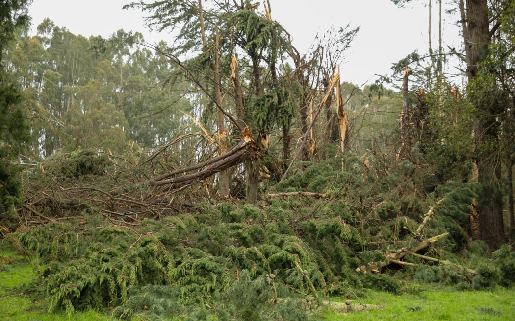 Clutha Valley storm damage