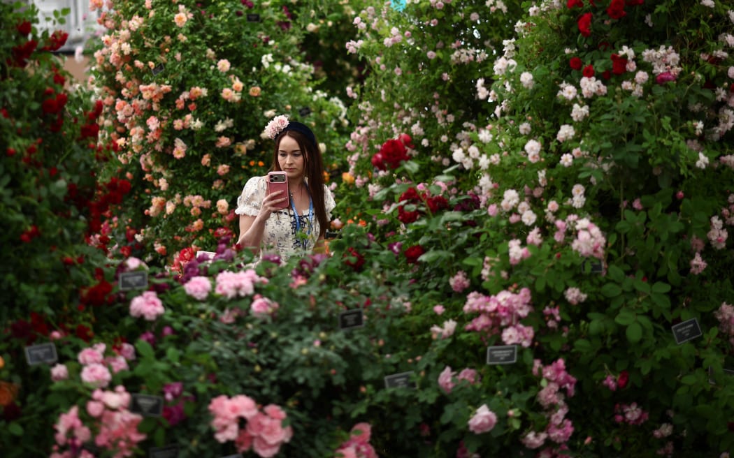 Love, lust and gnomes as top UK flower show bursts into bloom | RNZ News