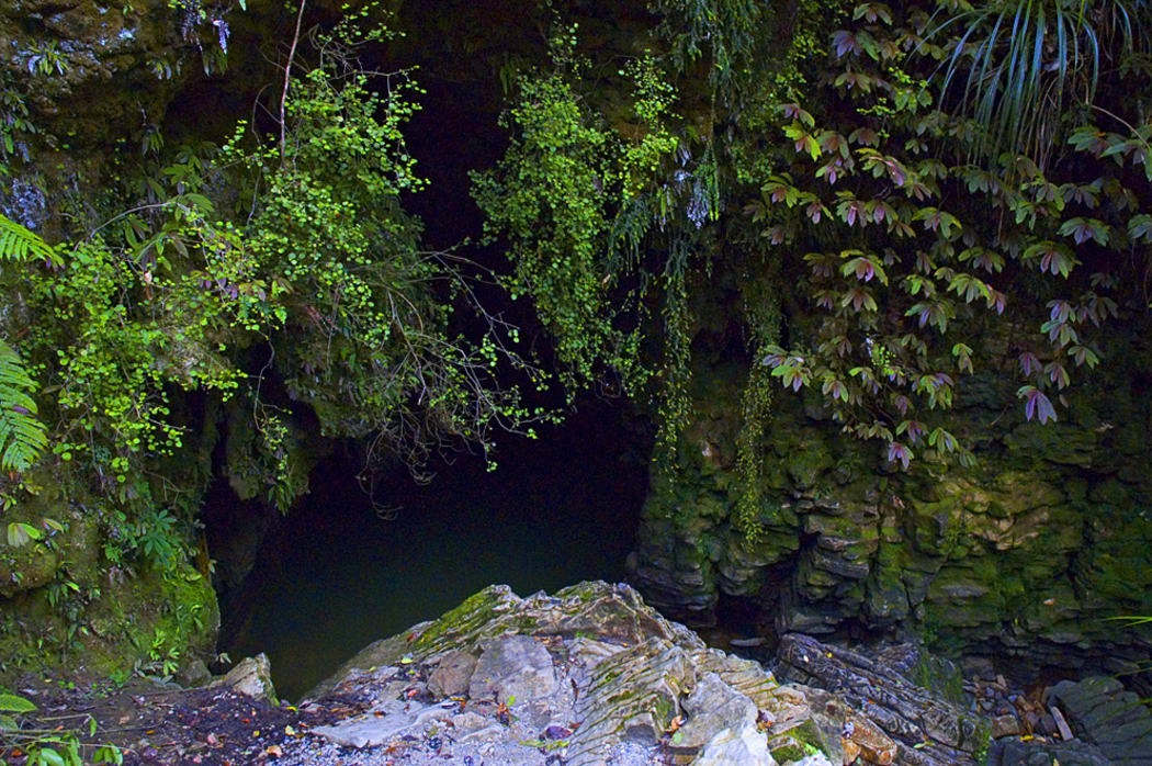 Waitomo Caves