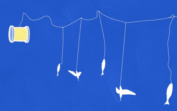 Still from RNZ animated video, Why It Matters How Your Fish Is Caught