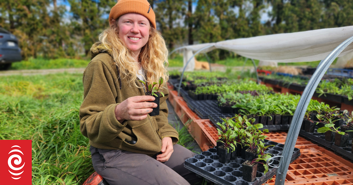 Country Life: Jemma Ostenfeld, a heritage seed collector with an eye on the future