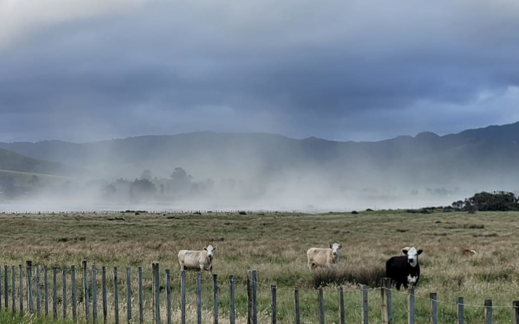 There are about a dozen "bad days" for dust each year in the lower Waiapu Valley, north of Gisborne, resident Graeme Atkins says.