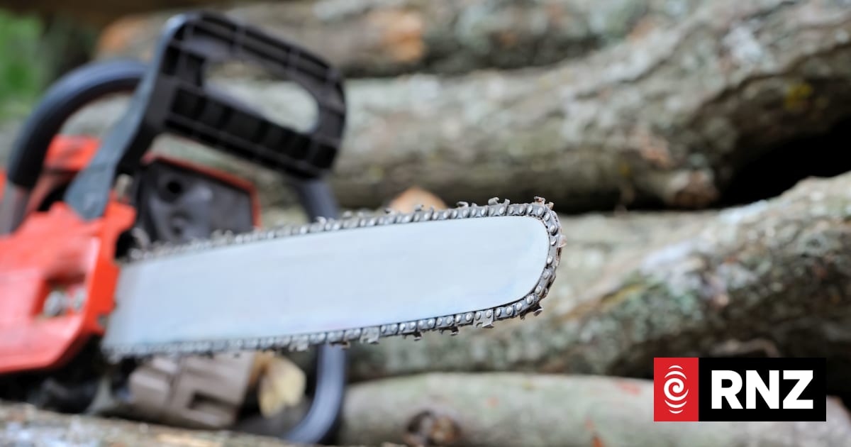 Tree felling death of Southland man highlights DIY risks, coroner says