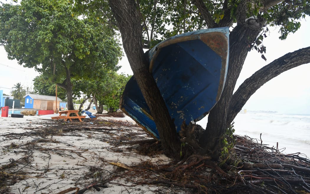 A boat ended up in a tree after the passage of Hurricane Beryl in Oistins gardens, Christ Church, Barbados on July 1, 2024. (Photo by Randy Brooks / AFP)