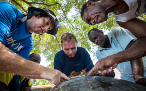 Conservation officers hold the hawksbill turtle while Conservancy scientists attach a satellite tag.