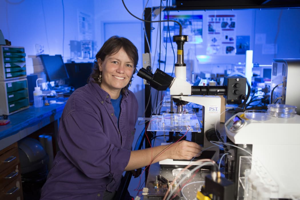 Engender Technology uses lasers to identify and spilt chromosomes.