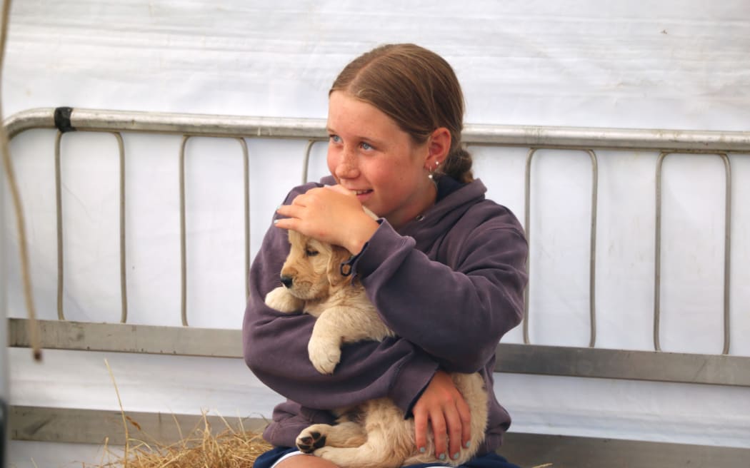 Waiau A&P Show in Tuatapere, Southland