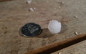 Wellington bore the brunt of heavy rain, hail, and a lightning storm on Tuesday night.