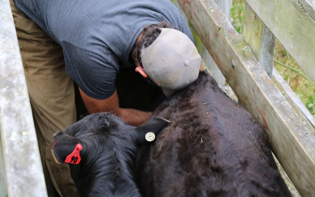 A Year on the Farm - Part 4