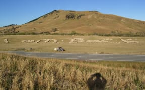Mike Bowler gathered his sheep to spell out 'I am back'.