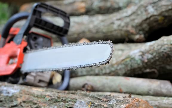 Close-up chainsaw and many tree trunks