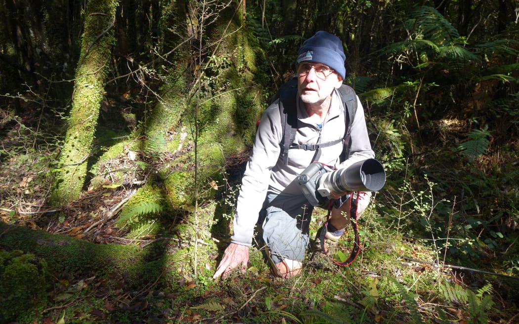 Amateur photographer Tony Green, 68, is a regular visitor and has donated to the cause.