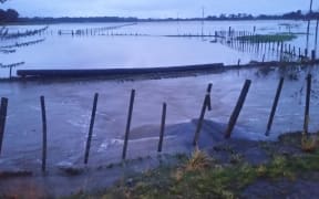 Flooding on the way to Martinborough.