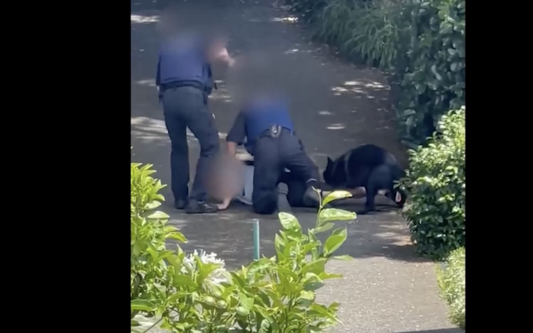 A witness took a video, screen shot here, as two police officers restrained a man on the ground with the aid of a police dog.