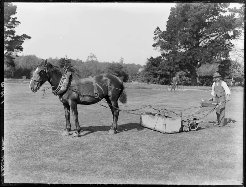 Horse-drawn mower in Hagley Park, Christchurch, 1910.