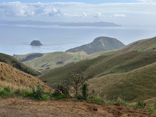 Views over Port Jackson from the Pahi Coastal Walk