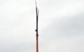The Wellington Sculpture Trust wants the wind wand rebuilt to the same design.