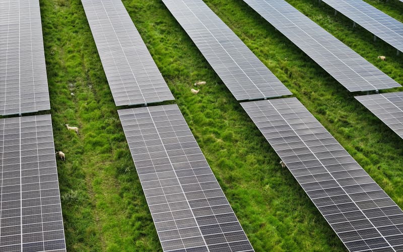 Solar power company looks at stock exchange float | RNZ