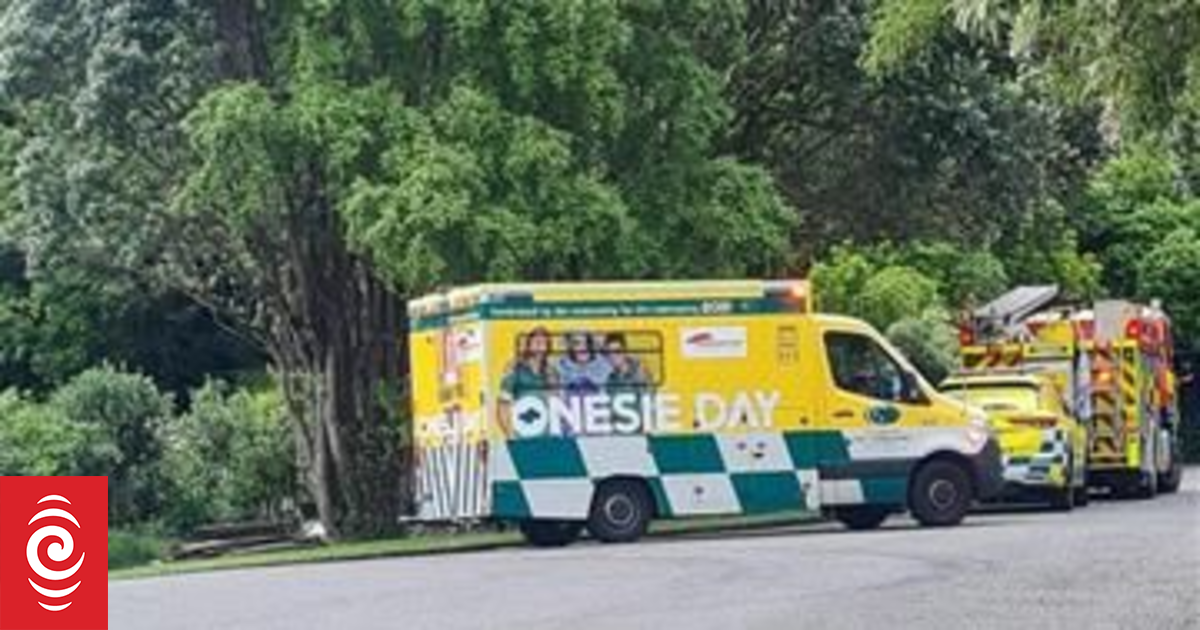 Resident describes hearing gunshots in neighbourhood on Kāpiti Coast