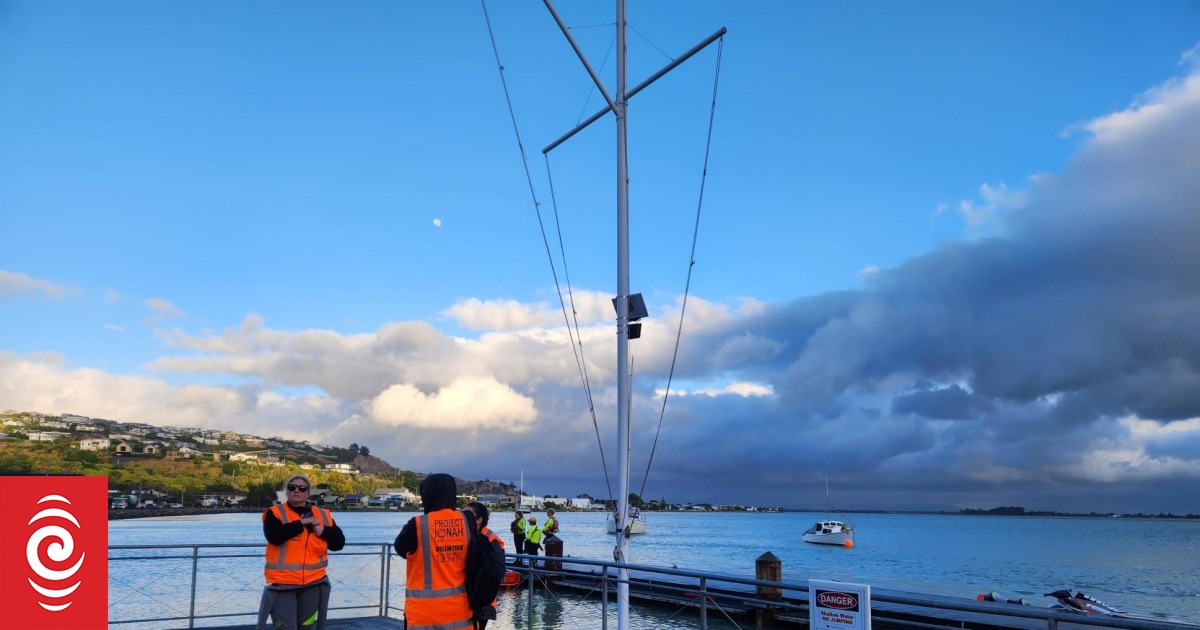 Large whale stranded in Canterbury estuary dies - Vimarsana News